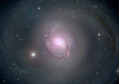 ظاهرة ابتلاع الثقوب السوداء للنجوم متكررة بوتيرة عالية في الكون