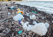 المحيط الشمالي يلتقط النفايات البلاستيكية من المحيط الأطلسي 