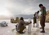 التطور التقني يهدد قوافل الملح التقليدية في أثيوبيا