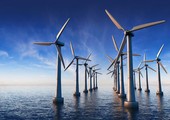 هولندا تدشن واحدة من أكبر محطات توليد الطاقة من الرياح