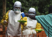 وباء ايبولا يظهر مجددا في شمال شرق الكونغو الديموقراطية