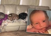 وفاة رضيعة تركها أهلها مع 3 كلاب لدقائق بولاية ميشيغن الأميركية